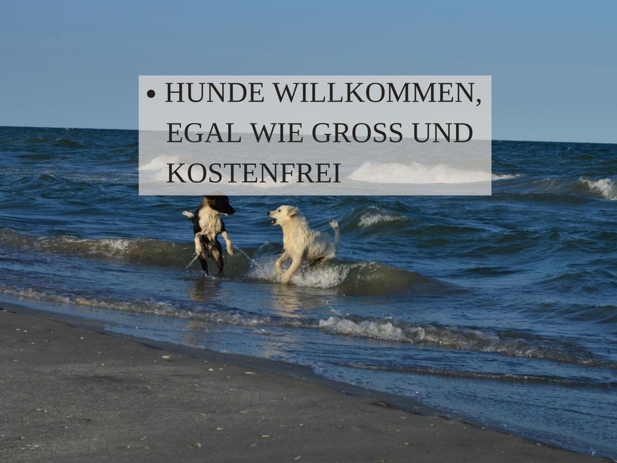 Haus Krabbe Apartments Mit Doppelbetten, Fuer 1-2 Personen, Hunde Kostenfrei Willkommen, Kostenfreier Parkplatz, Zwischen Bremerhaven Und Cuxhaven Gelegen Wremen Bagian luar foto
